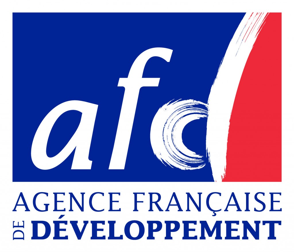 L' aide au développement s' envole dans des paradis fiscaux